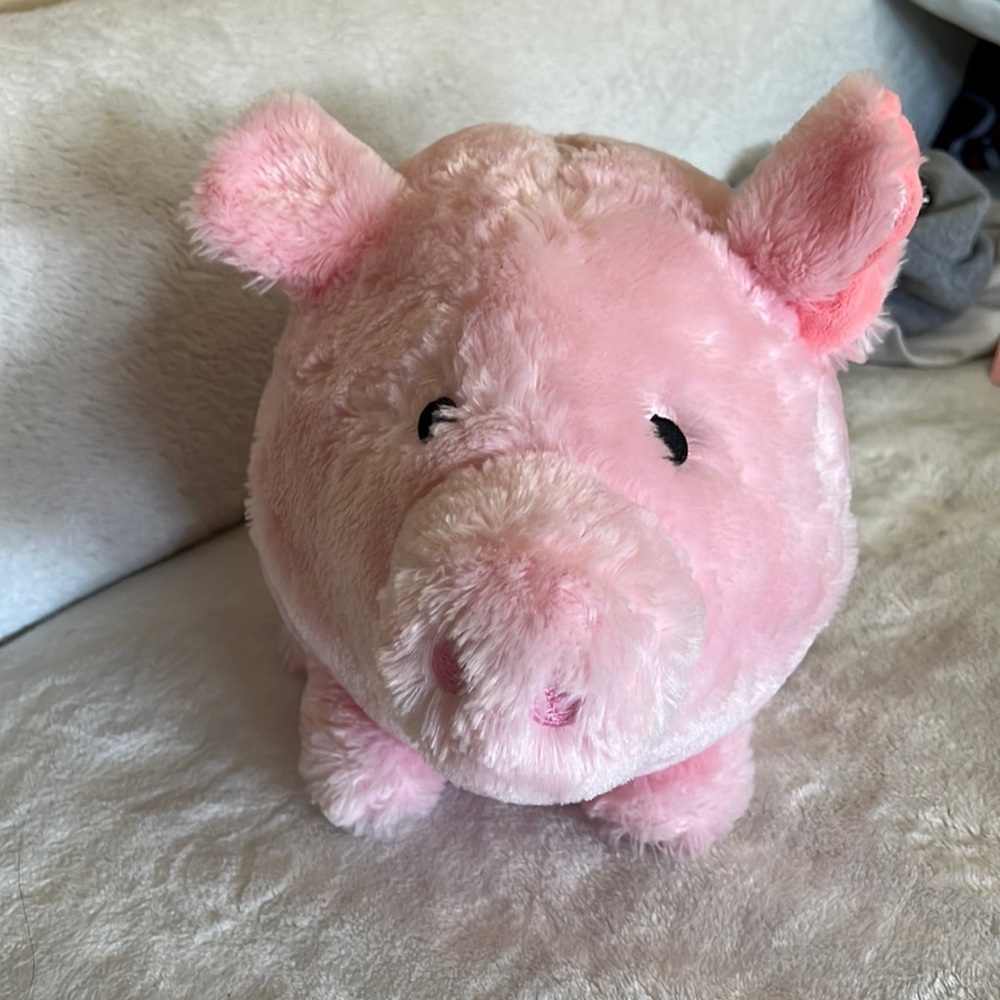 Teddy bear piggy bank!